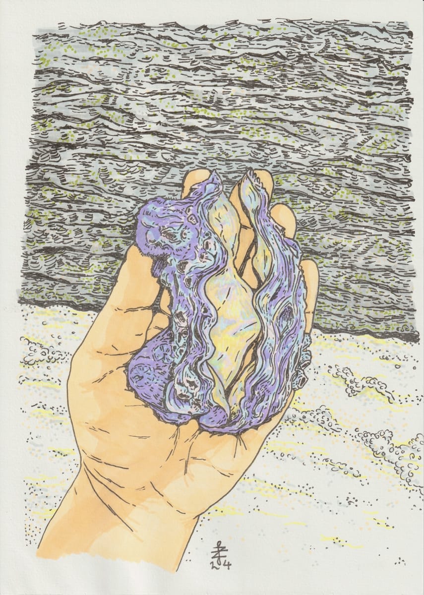 seashell-2024-print-copy-colored